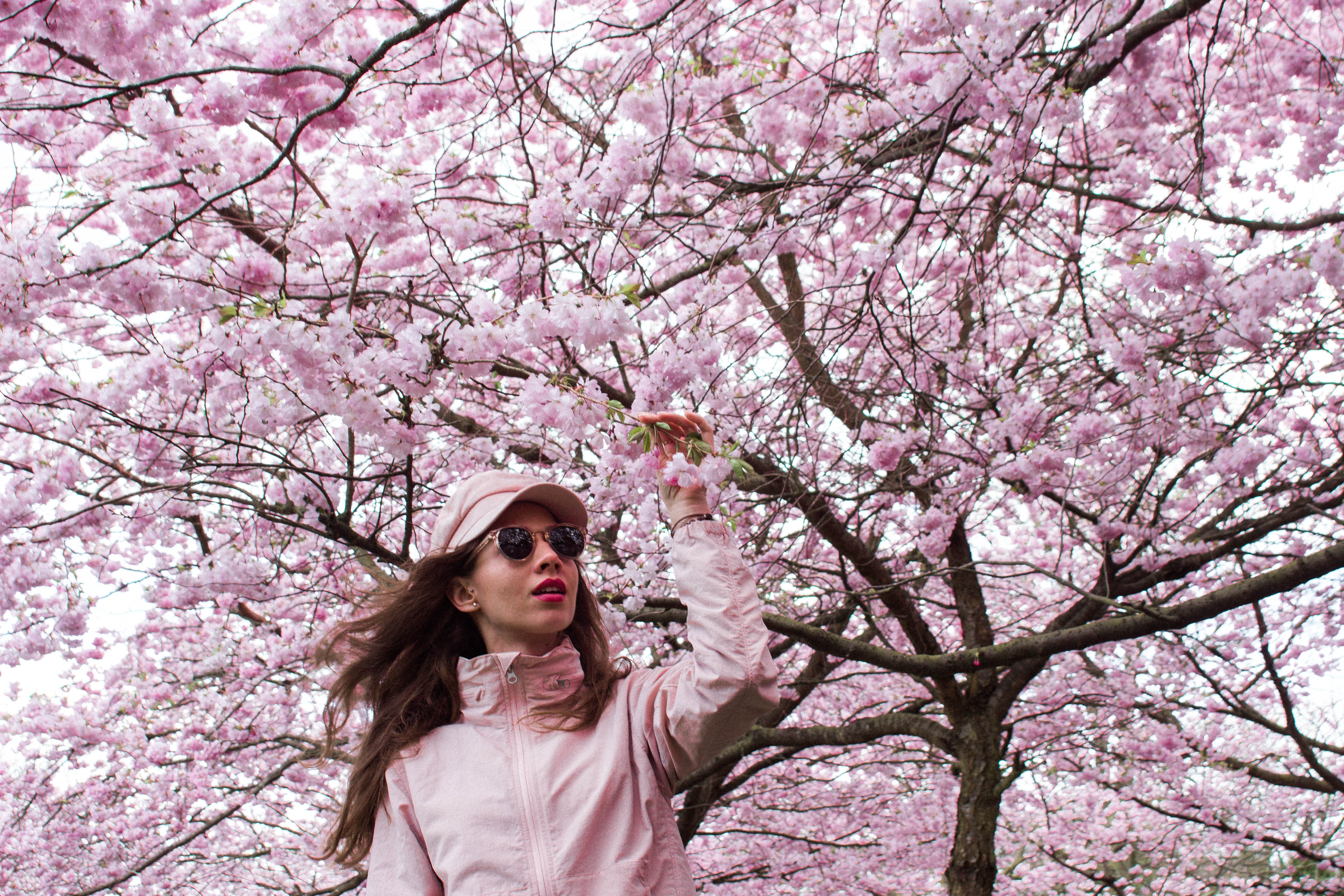 Malvina Dunder cheery blossoms sakura, travel and mindful living. Podróże świadome życie, kawiaty wiśni