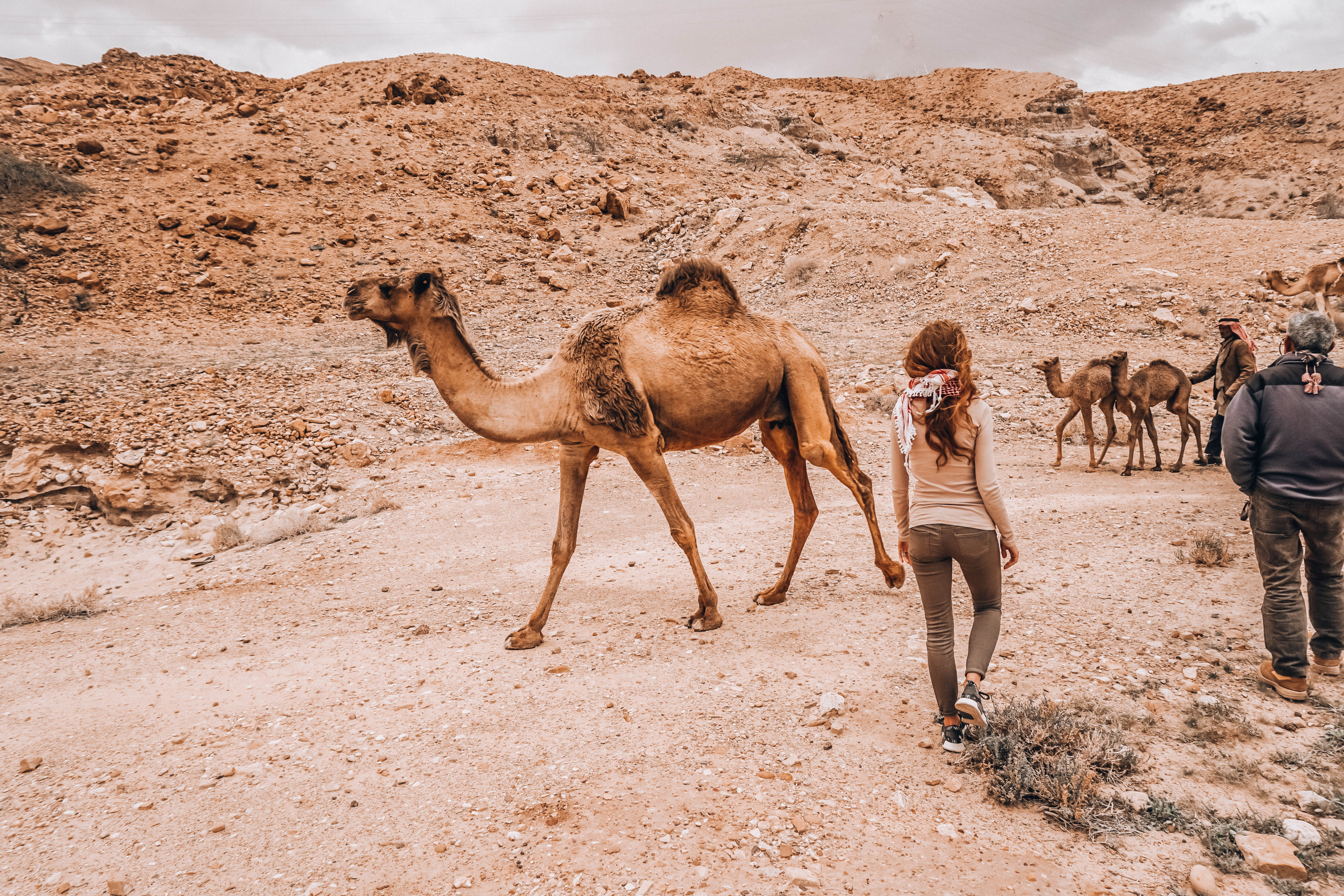 Malvina Dunder Camels adventure, things to do in Jordan, Jordania, co robić w Jordanii, podróże