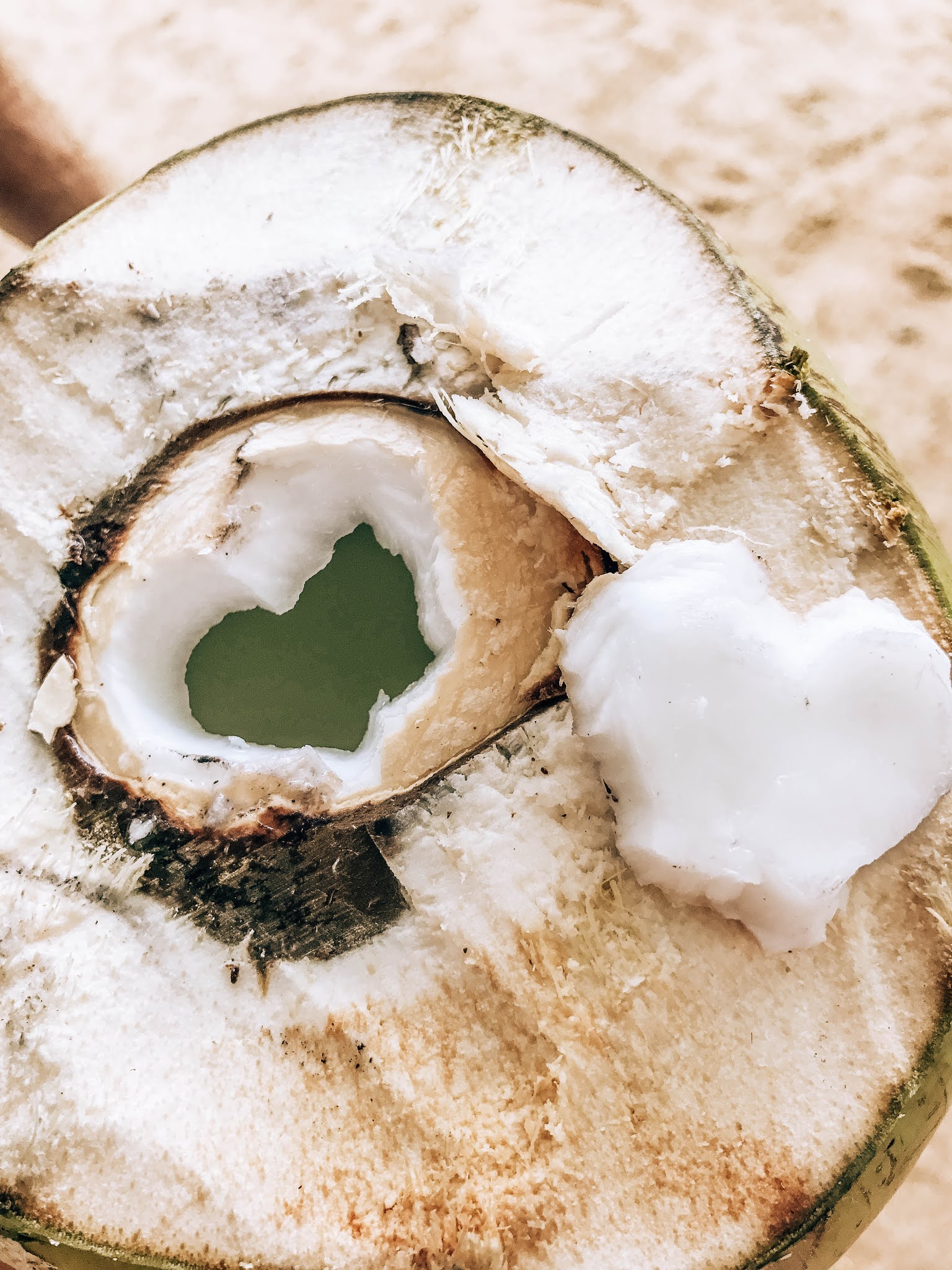 Malvina Dunder blog podróże, rozwój osobisty, relacje kokos planeta skarby ziemi