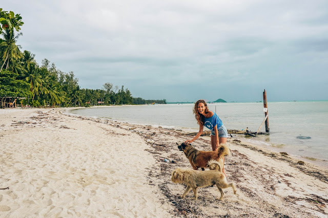 Malvina Dunder blog rozwój osobisty, relacje, podróże, Tajlandia psy